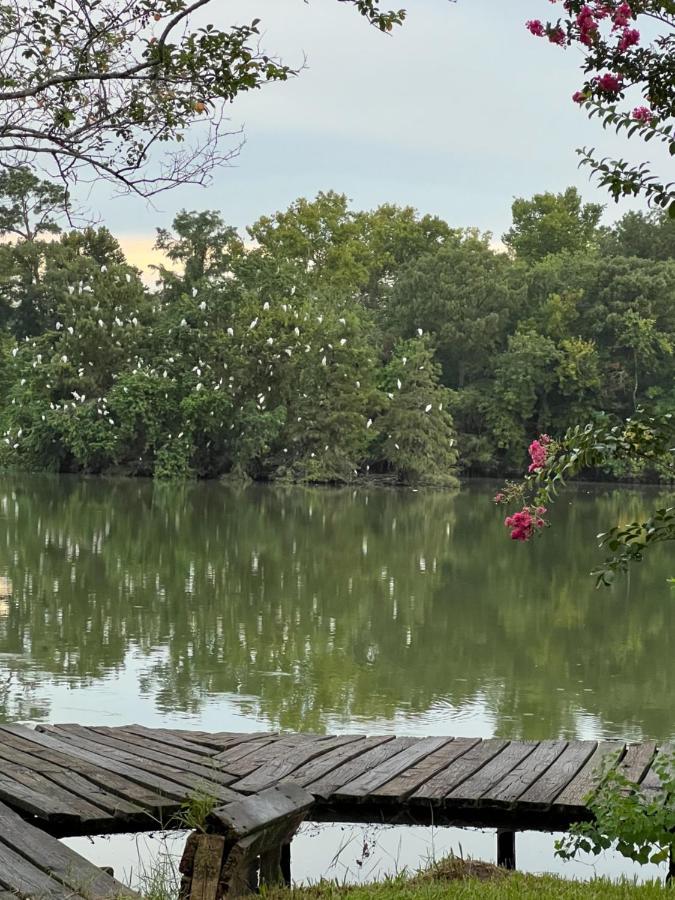 Kingwood Cottage - 10 Mins From Iah - Lake Front ハンブル エクステリア 写真
